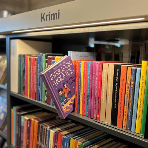 Bøger på biblioteket